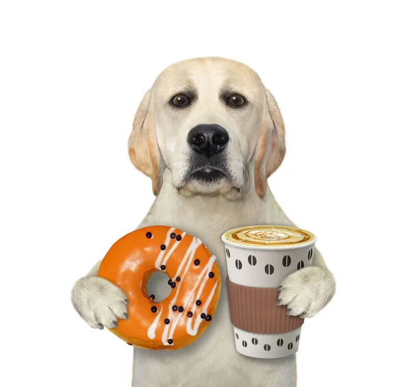 Ein Hund Hält Einen Pappbecher Latte Und Einen Orangefarbenen Donut — Stockfoto