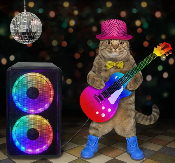 A cat guitar player in stylish clothes is playing near a loudspeaker in a nightclub.