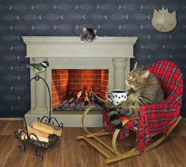Bir kedi sallanan sandalyede oturuyor ve evdeki şöminede kahve içiyor..