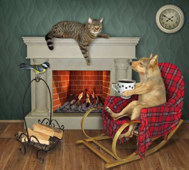 Bir köpek sallanan sandalyede oturuyor ve evdeki şöminede kahve içiyor..