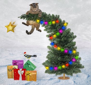 Noel ağacının tepesinde bej bir kedi var. Kardaki hediye kutularının yanında..