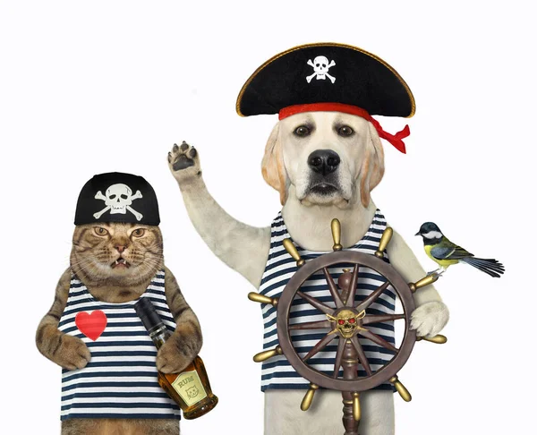 A dog wit a cat in pirate uniform are at a helm of a ship. White background. Isolated.