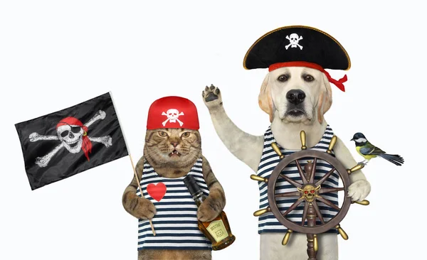 A dog wit a cat in pirate uniform are at a helm of a ship. White background. Isolated.