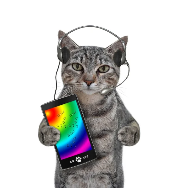 Chat Gris Dans Les Écouteurs Avec Smartphone Écoute Musique Fond — Photo