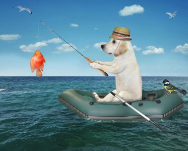 Şişme bir teknede bir köpek balıkçısı denizde bir altın balık yakaladı..