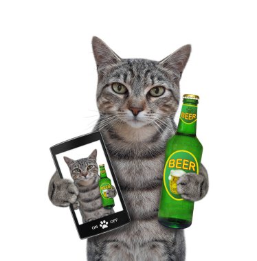 Elinde bira şişesi olan gri bir kedi selfie çeker. Beyaz arka plan. İzole edilmiş.