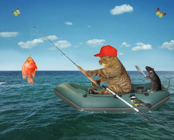 Beige Cat Fisherman Inflatable Boat Caught Gold Fish Sea — Stock Photo, Image