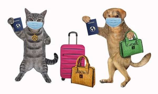 Gato Cão Máscaras Protetoras Com Malas Passaportes Internacionais Vão Viajar — Fotografia de Stock