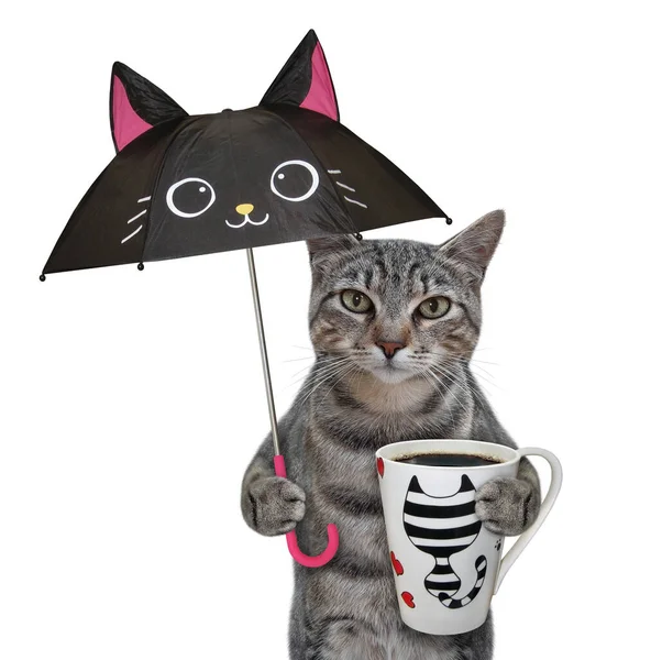 Gato Gris Con Una Taza Café Negro Está Debajo Paraguas — Foto de Stock