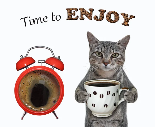 Eine Graue Katze Trinkt Kaffee Einem Großen Wecker Zeit Zum — Stockfoto