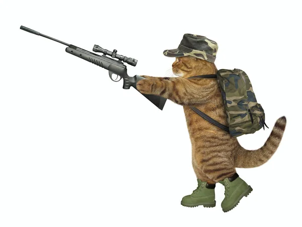 Chasseur Chats Uniforme Militaire Tient Fusil Vue Optique Fond Blanc — Photo