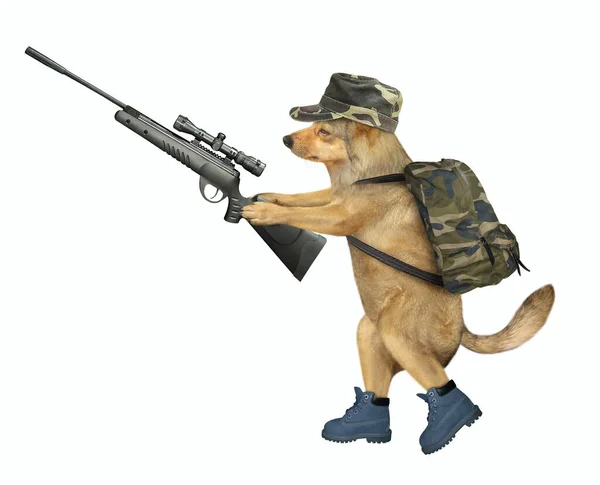 Dog Hunter Military Uniform Holding Rifle Optical Sight White Background — Stock Photo, Image