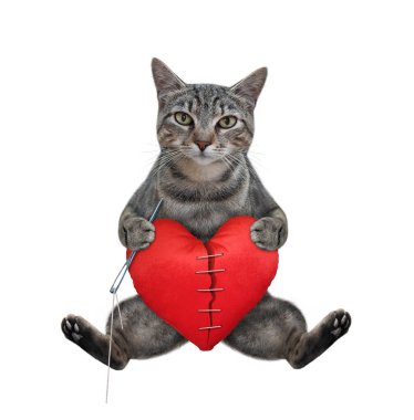 İğnesi ve dikiş ipliği olan gri bir kedi büyük, kırmızı bir kalple onarıyor. Beyaz arka plan. İzole edilmiş.