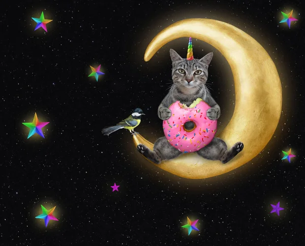 Gato Cinza Unicornsits Com Donut Rosa Senta Lua Noite — Fotografia de Stock