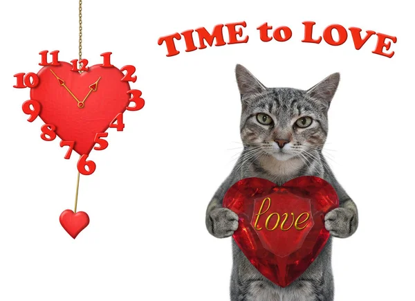 Gato Cinzento Tem Grande Coração Rubi Perto Relógio Parede Hora — Fotografia de Stock