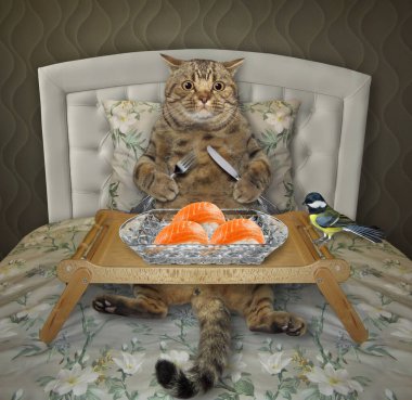 Bej bir kedi evdeki yatakta ahşap bir tepside suşi yiyor..