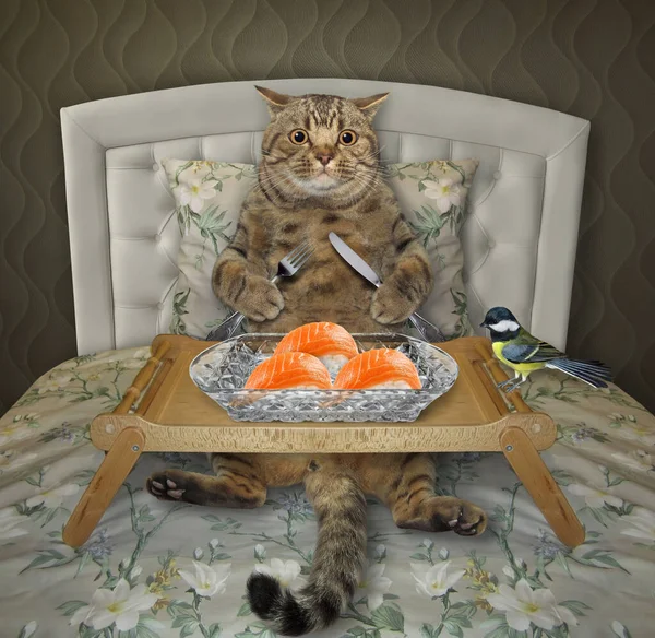 A beige cat is eating sushi from a wooden tray in the bed at home.