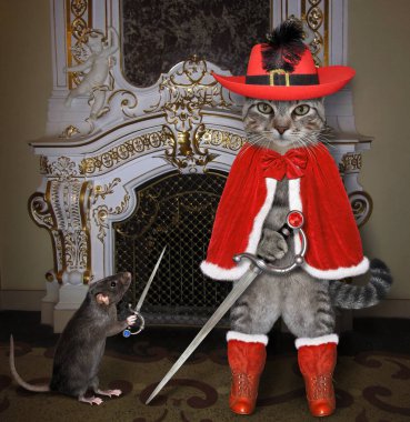 Kırmızı silahşör kostümü giymiş gri bir kedi kalenin şöminesinde duruyor..