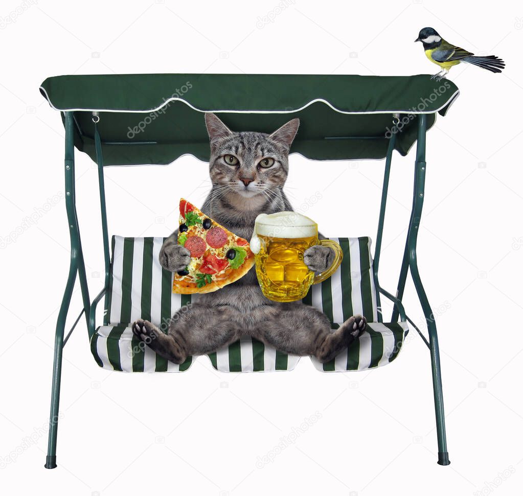 A gray cat with a mug of beer and a slice of pizza sits on a beach swing chair. White background. Isolated.