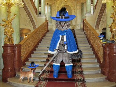 Mavi silahşör kostümü giymiş gri bir kedi kalenin merdivenlerinde duruyor..