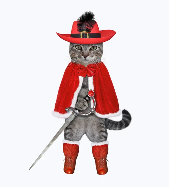 Gray Cat Musketeer Red Cloak Hat Feather Boots Has Sword — 스톡 사진