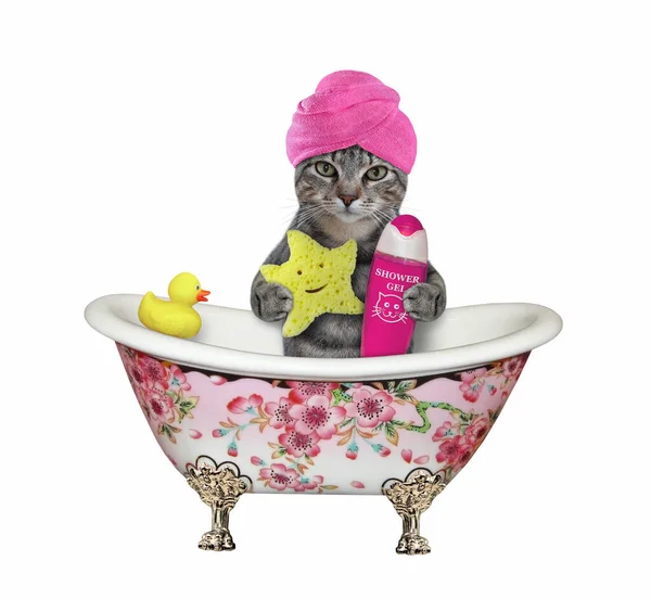 Gray Cat Pink Towel His Head Star Shaped Sponge Shampoo — Stock Photo, Image