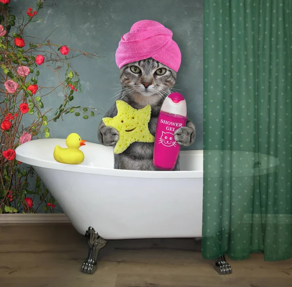 Gray Cat Pink Towel His Head Star Shaped Sponge Shampoo — Stock Photo, Image