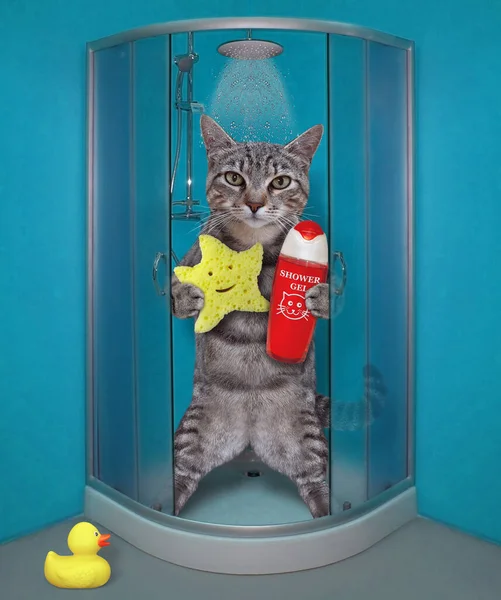 A gray cat with a star shaped sponge and shampoo takes shower in a bathroom.