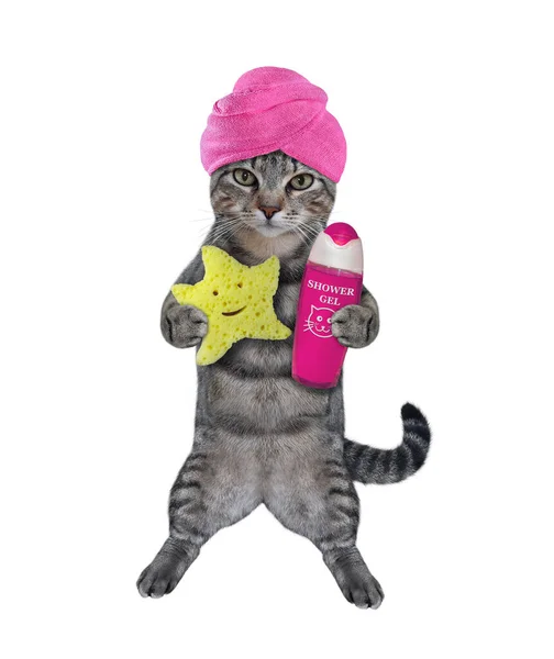 Gray Cat Pink Towel His Head Holds Star Shaped Sponge — Stock Photo, Image