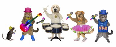 Evcil hayvanlar davul çalar, akustik gitar çalar ve şarkı söyler. Beyaz arka plan. İzole edilmiş.