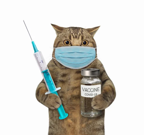 Beige Kattläkare Ansiktsmask Håller Spruta Och Flaska Vaccin Coronavirus Vit — Stockfoto