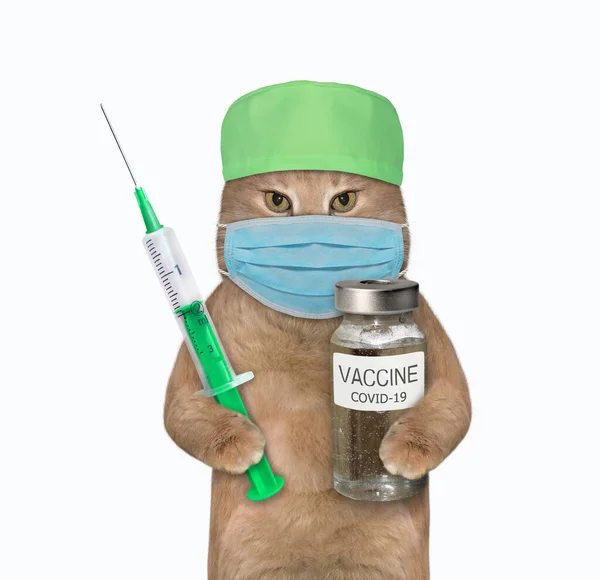 Béžový Kočičí Lékař Obličejovou Maskou Drží Injekční Stříkačku Lahvičku Vakcíny — Stock fotografie