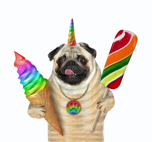 Pug Dog Unicorn Renkli Bir Lolipop Gökkuşağı Dondurması Taşır Beyaz — Stok fotoğraf