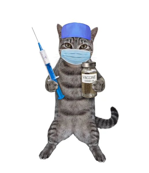 Kočičí Lékař Masce Obličeje Klobouku Drží Stříkačku Lahvičku Vakcíny Koronavirus — Stock fotografie