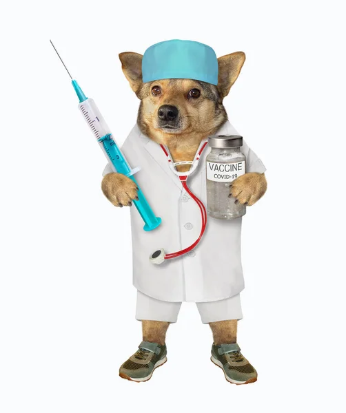 Psí Lékař Lékařských Šatech Drží Injekční Stříkačku Lahvičku Vakcíny Koronavirus — Stock fotografie