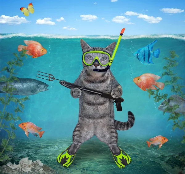 Gray Cat Underwater Hunter Mask Snorkel Flippers Harpoon Stands Seabed — Stock Photo, Image