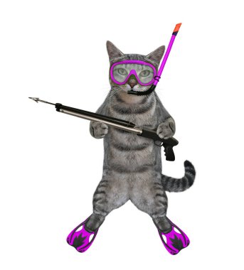 A gray cat underwater hunter in a mask, a snorkel and flippers holds a harpoon. White background. Isolated. clipart