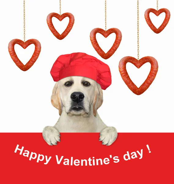 赤いシェフの帽子の犬は心臓の形をしたぶら下げソーセージの近くにあります ハッピーバレンタインデー 白地だ — ストック写真