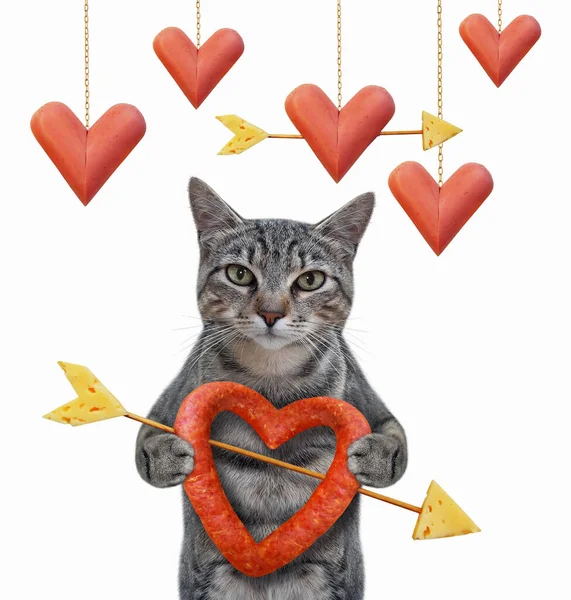 Gato Gris Sostiene Una Salchicha Forma Corazón Perforada Con Una — Foto de Stock