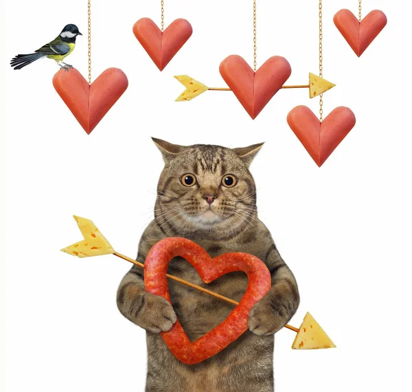 Béžová Kočka Drží Klobásu Tvaru Srdce Propíchnutou Šípem Bílé Pozadí — Stock fotografie