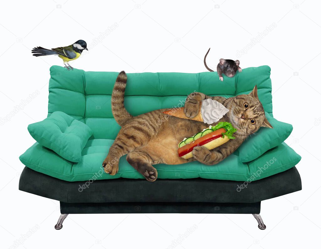 A beige lazy cat is lying on a green divan and eating a hot dog and a an ice cream cone. White background. Isolated.