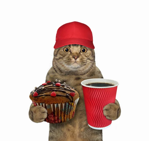 Beżowy Kot Czerwonej Czapce Trzyma Czekoladową Babeczkę Papierową Filiżankę Kawy — Zdjęcie stockowe