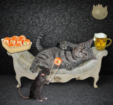 Gri, tembel bir kedi beyaz bir divanda uzanıyor ve evinde suşi yiyor.. 