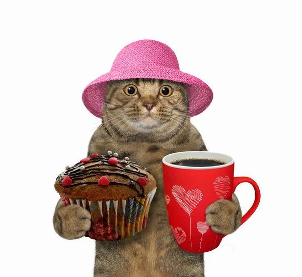 Beżowy Kot Różowej Słomkowej Czapce Trzyma Czekoladową Babeczkę Filiżankę Kawy — Zdjęcie stockowe