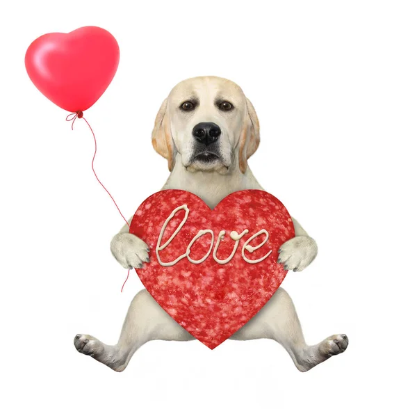 Ein Hund Sitzt Mit Einer Herzförmigen Wurst Und Einem Roten — Stockfoto