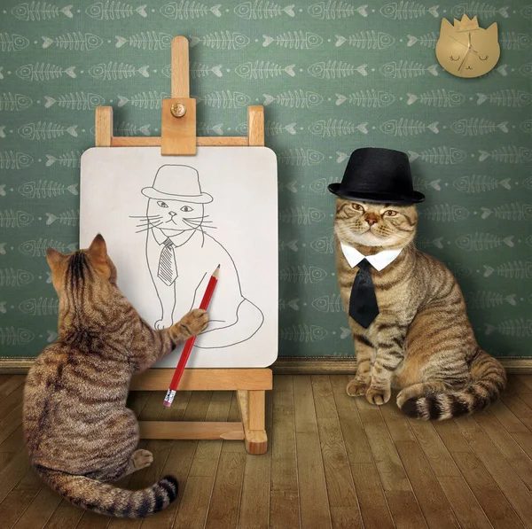 Ein Beiger Katzenkünstler Mit Pinsel Malt Seinen Freund Mit Hut — Stockfoto
