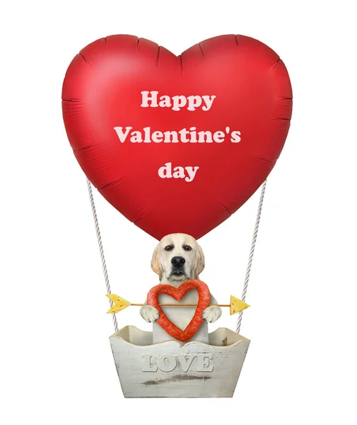 Dog Sausage Flying Red Heart Shaped Hot Air Balloon White — Stock Photo, Image