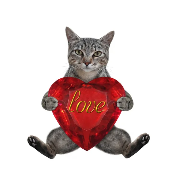 Gray Cat Sits Heart Shaped Ruby White Background Isolated — Stock Photo, Image