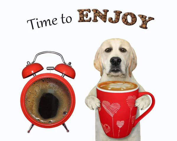 Pies Przy Wielkim Budziku Trzyma Czerwoną Filiżankę Kawy Czas Się — Zdjęcie stockowe