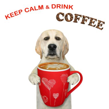 Bir köpek kırmızı bir fincan kahve tutar. Sakin ol ve kahve iç. Beyaz arka plan. İzole edilmiş.